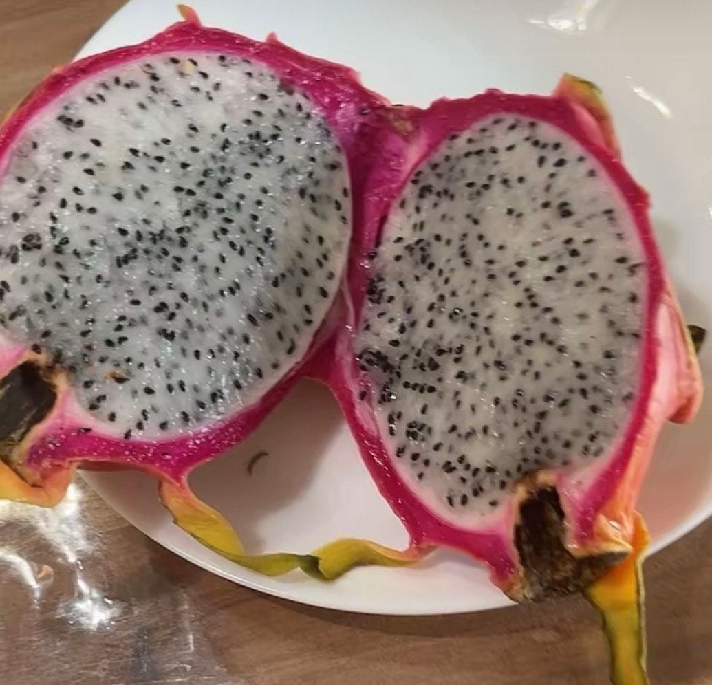 10 Zaden Dragon Fruit Wit, Volle zon, Vaste plant, Ophalen of Verzenden, Klimplanten