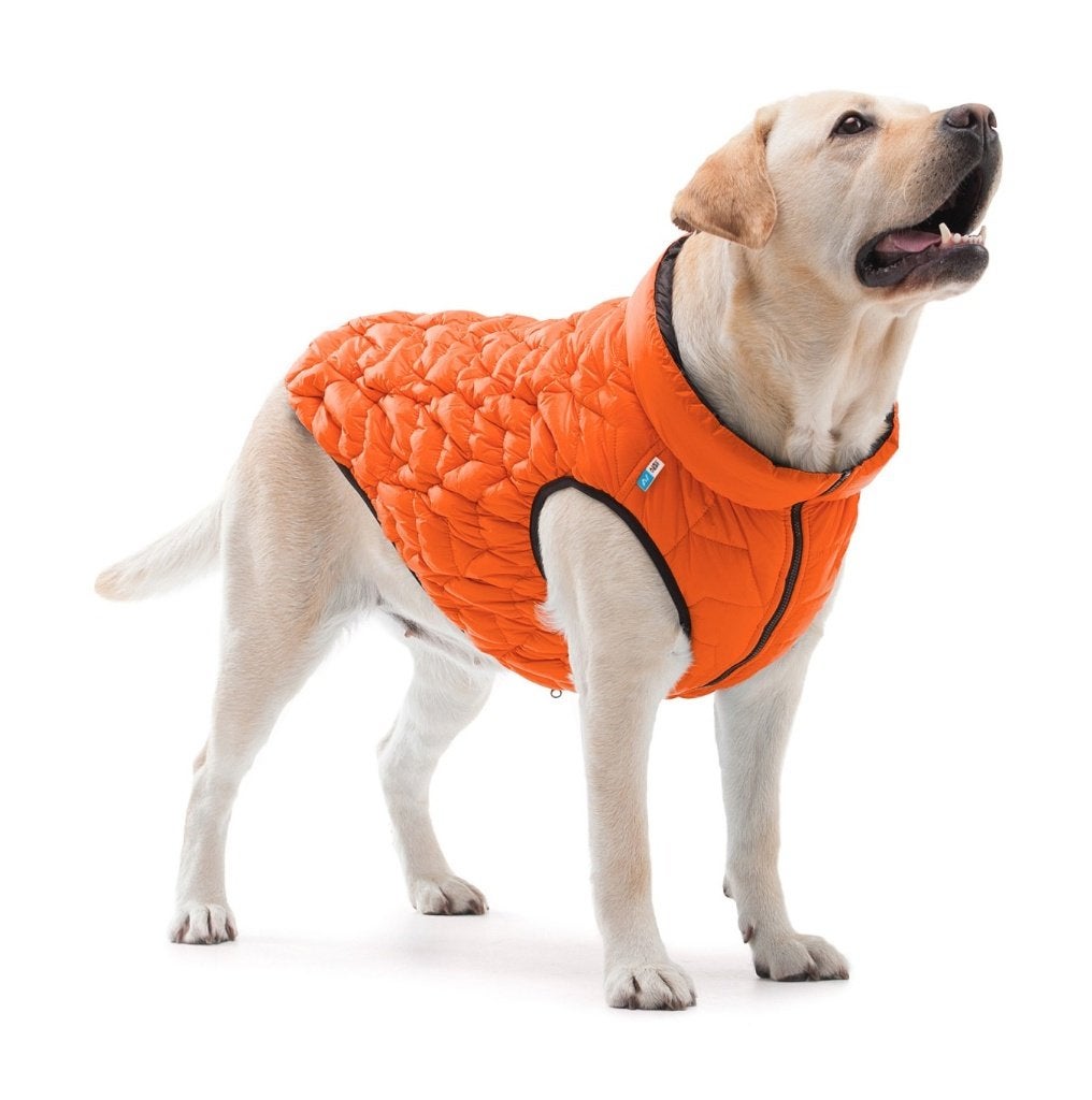 AiryVest UNI Hondenjas Omkeerbaar L55 Orange-Black -50%!!!, Dieren en Toebehoren, Hondenkleding, Ophalen of Verzenden, Nieuw, Hondenjas