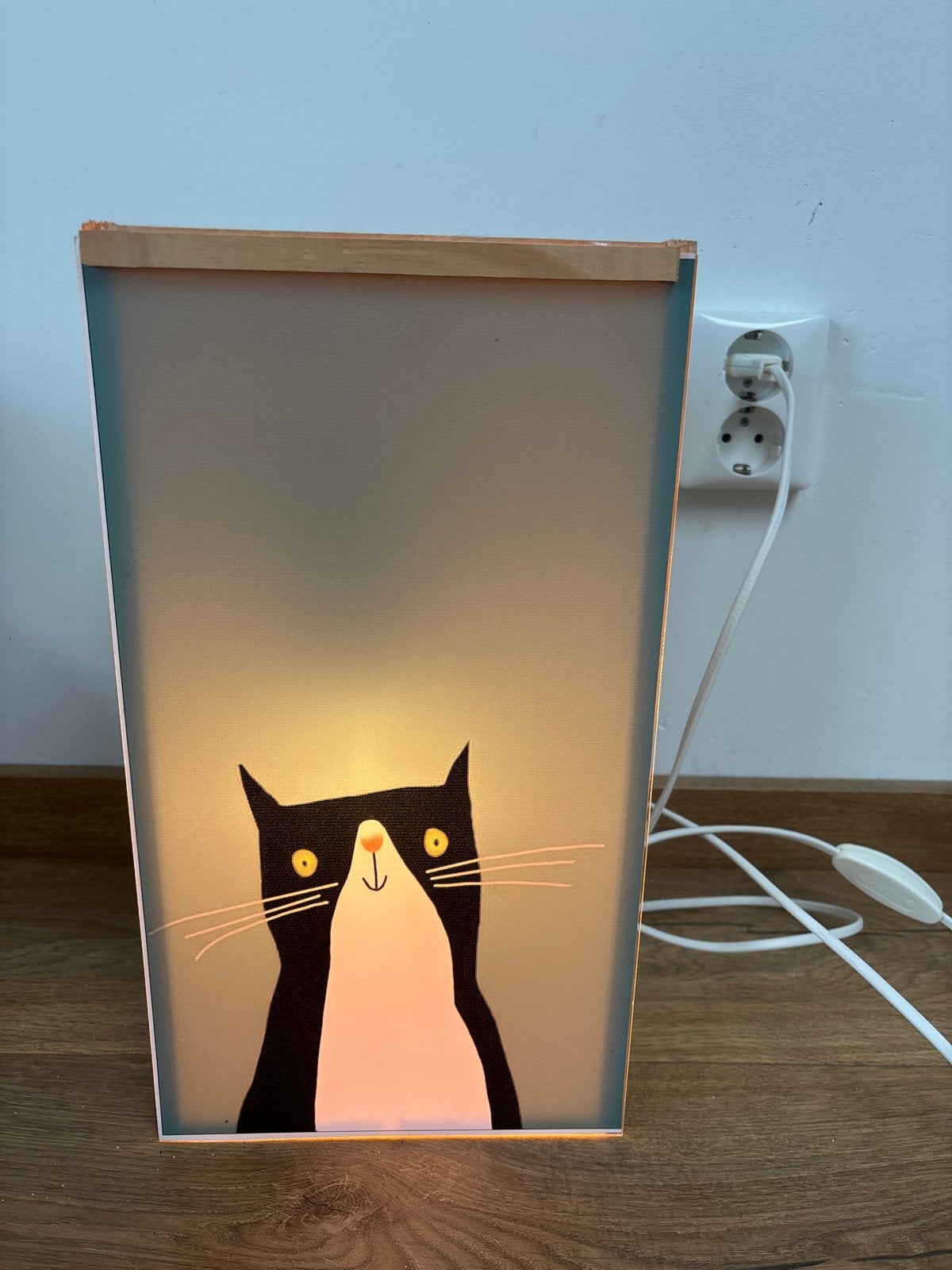 Lampje kat, Meerkleurig, Zo goed als nieuw, Modern, Ophalen