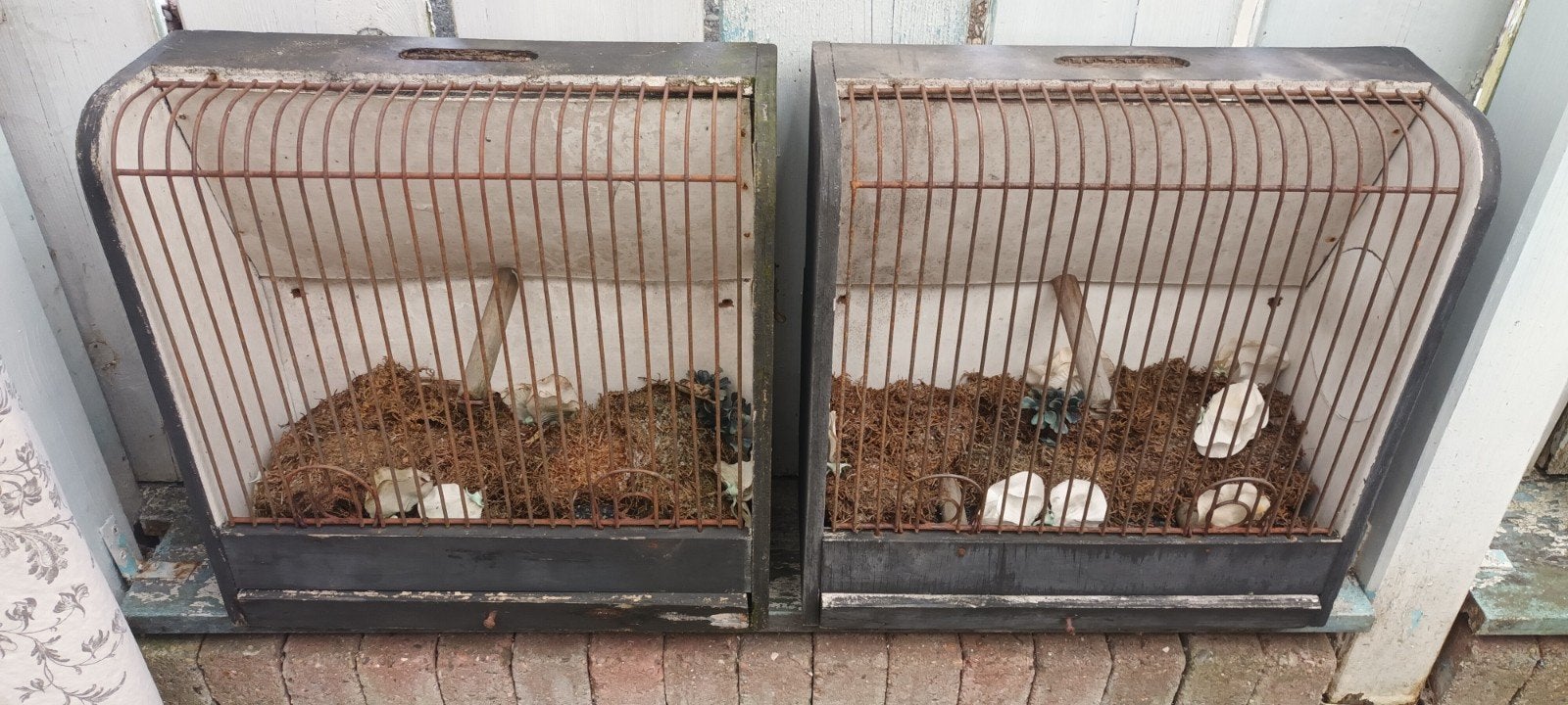 2 Belgische vogelkooitjes zwart in gebruikte staat, Ophalen of Verzenden