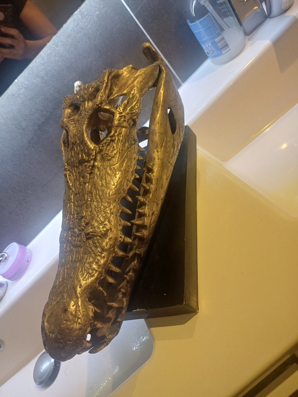 Bronzen krokodillenschedel op sokkel, Overige onderwerpen, Gepatineerd, Ophalen of Verzenden, Brons