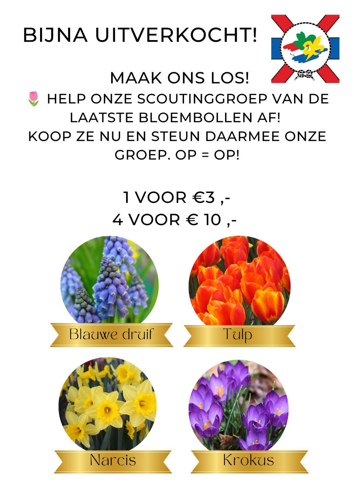 Bijna uitverkocht! Scouting Bollenactie!, Ophalen of Verzenden, Zo goed als nieuw, Overige merken