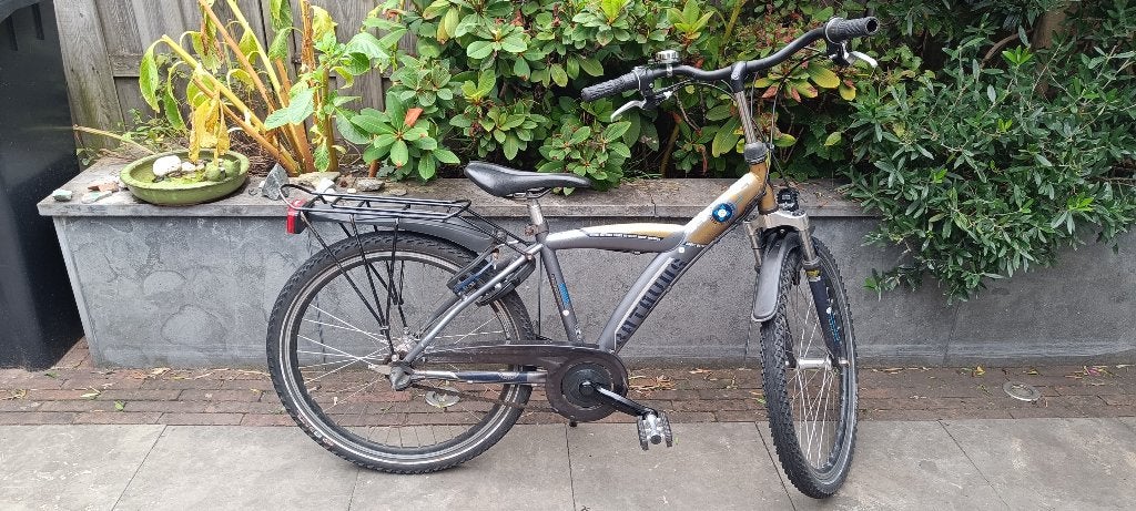 Batavus Snake 24 inch