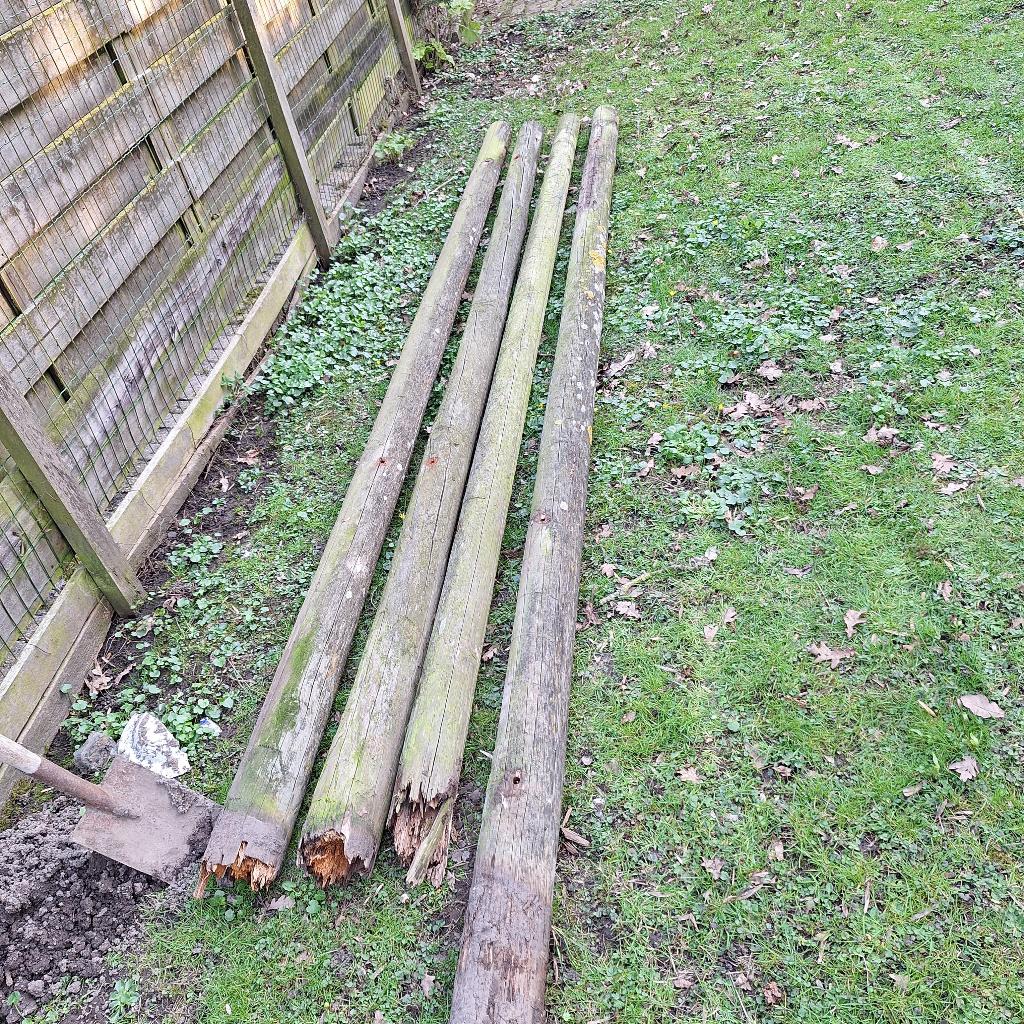 4 tuinpalen, 330-300 cm lang/bruikbaar 10-12 cm doorsnee, Tuin en Terras, Ophalen, Gebruikt, Minder dan 180 cm, Palen