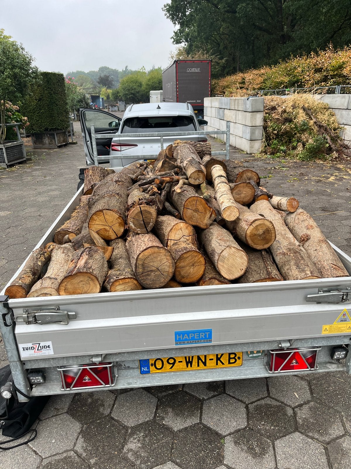 99% eik en paar stammetjes berk 3-4m3, Tuin en Terras, Haardhout, 3 tot 6 m³, Ophalen, Eikenhout, Stammen