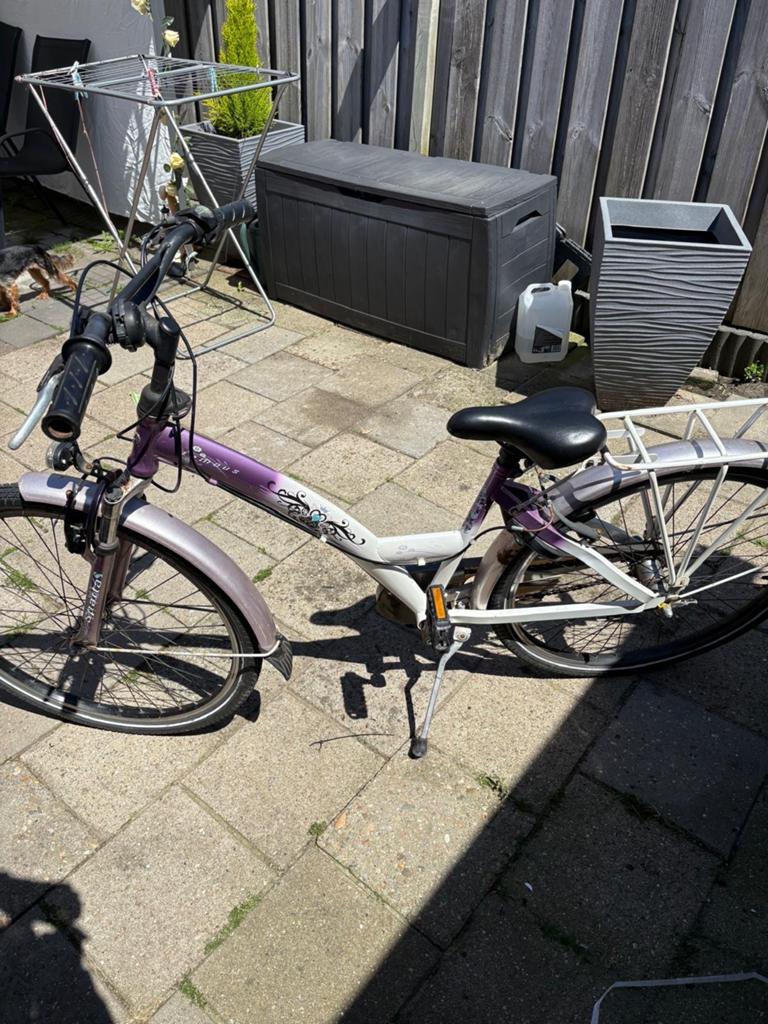 Meisjesfiets - Paars/Wit met Bagagedrager, Ophalen, Velgrem, Handrem, Gebruikt