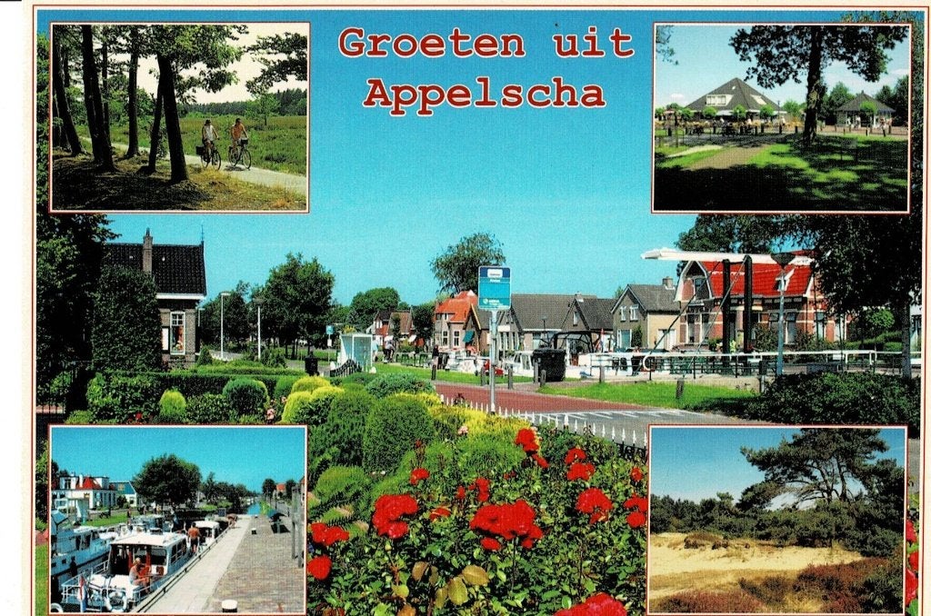 Appelscha, Ophalen of Verzenden, Gelopen, Friesland