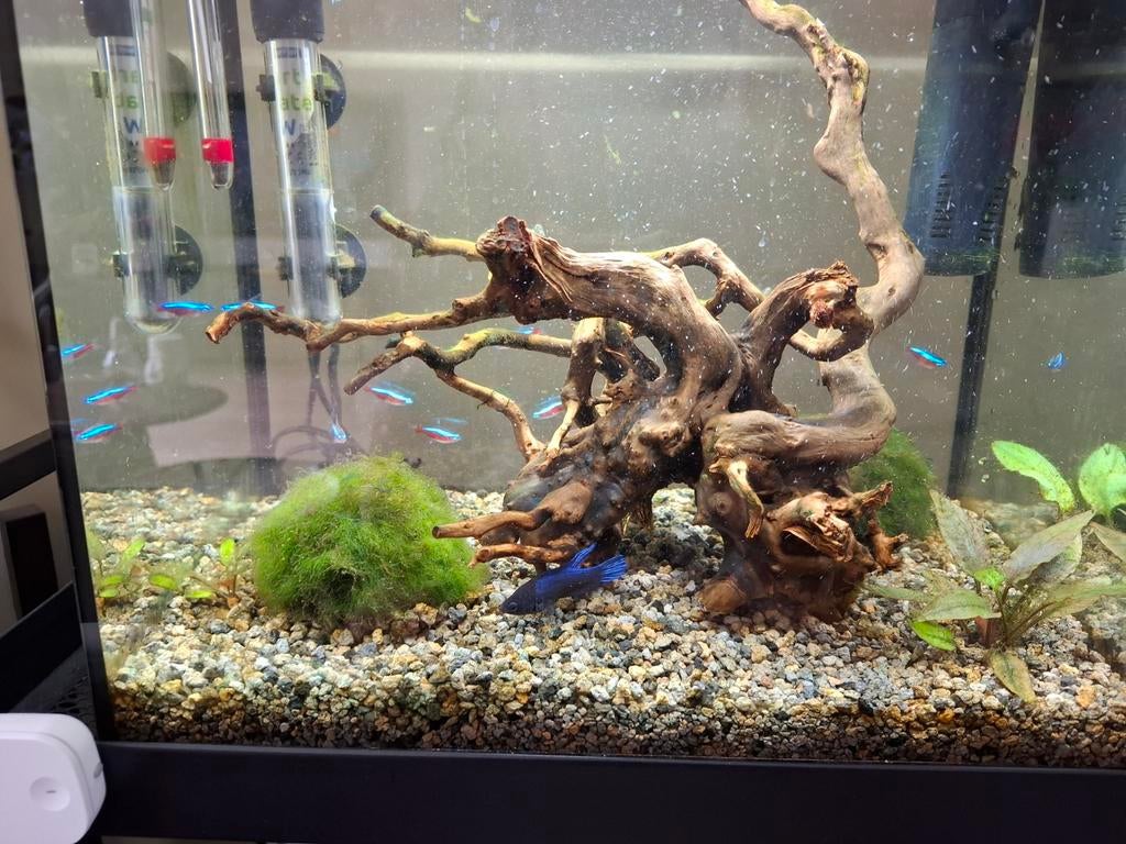 Compleet aquarium superfish 50, Dieren en Toebehoren, Vissen | Aquaria en Toebehoren, Ophalen, Zo goed als nieuw, Gevuld zoetwateraquarium