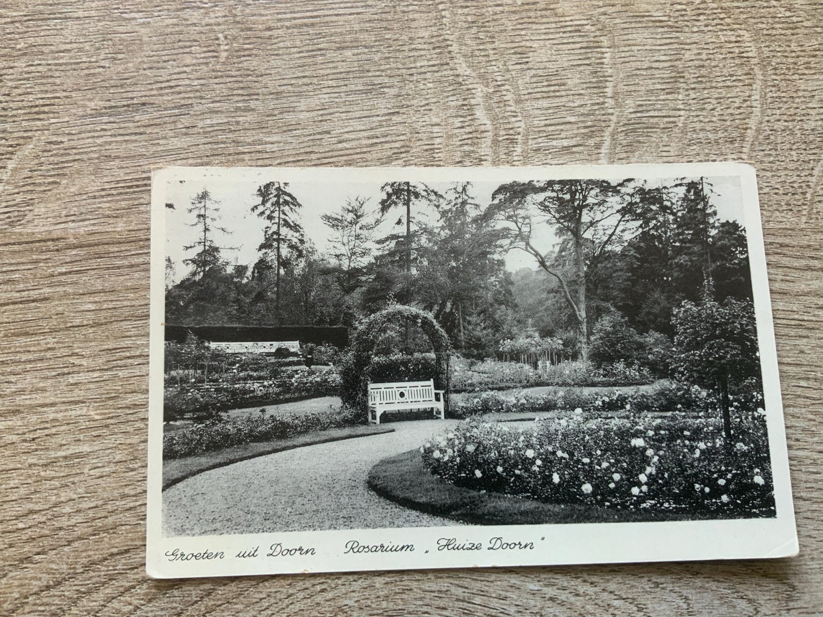 Rosarium, Huis Doorn -, Ophalen of Verzenden, Voor 1920, Gelopen, Utrecht