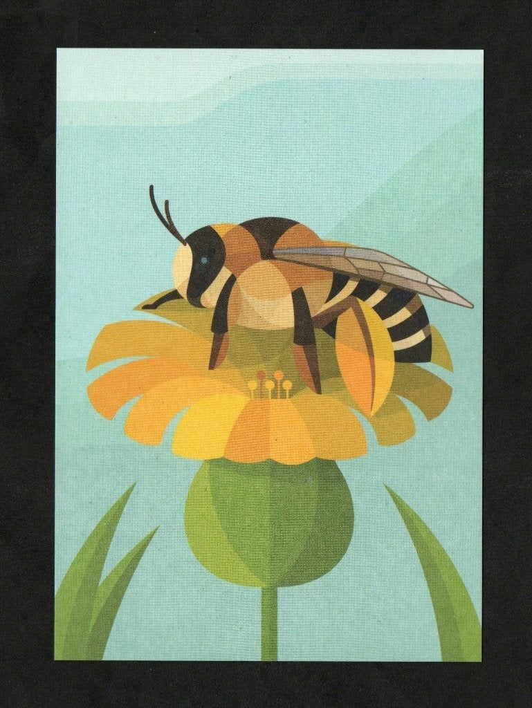 Bij op Bloem Pluimvoetbij Honing Nectar., Verzamelen, Ophalen of Verzenden, 1980 tot heden, Ongelopen, Overige soorten