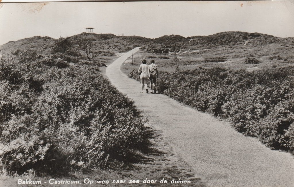 bakkum- weg naar zee, Ophalen of Verzenden, 1940 tot 1960, Noord-Holland