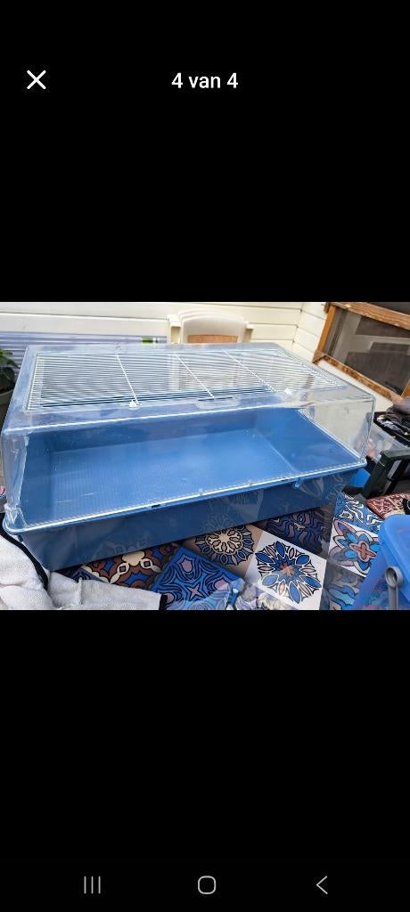 Caviakooi 70 x 45, Kooi, Gebruikt, 75 tot 110 cm, Cavia