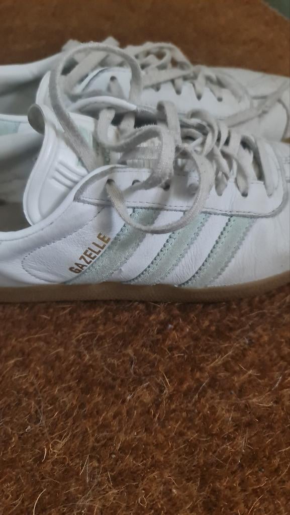 Adidas Gazelle gympen, Ophalen of Verzenden