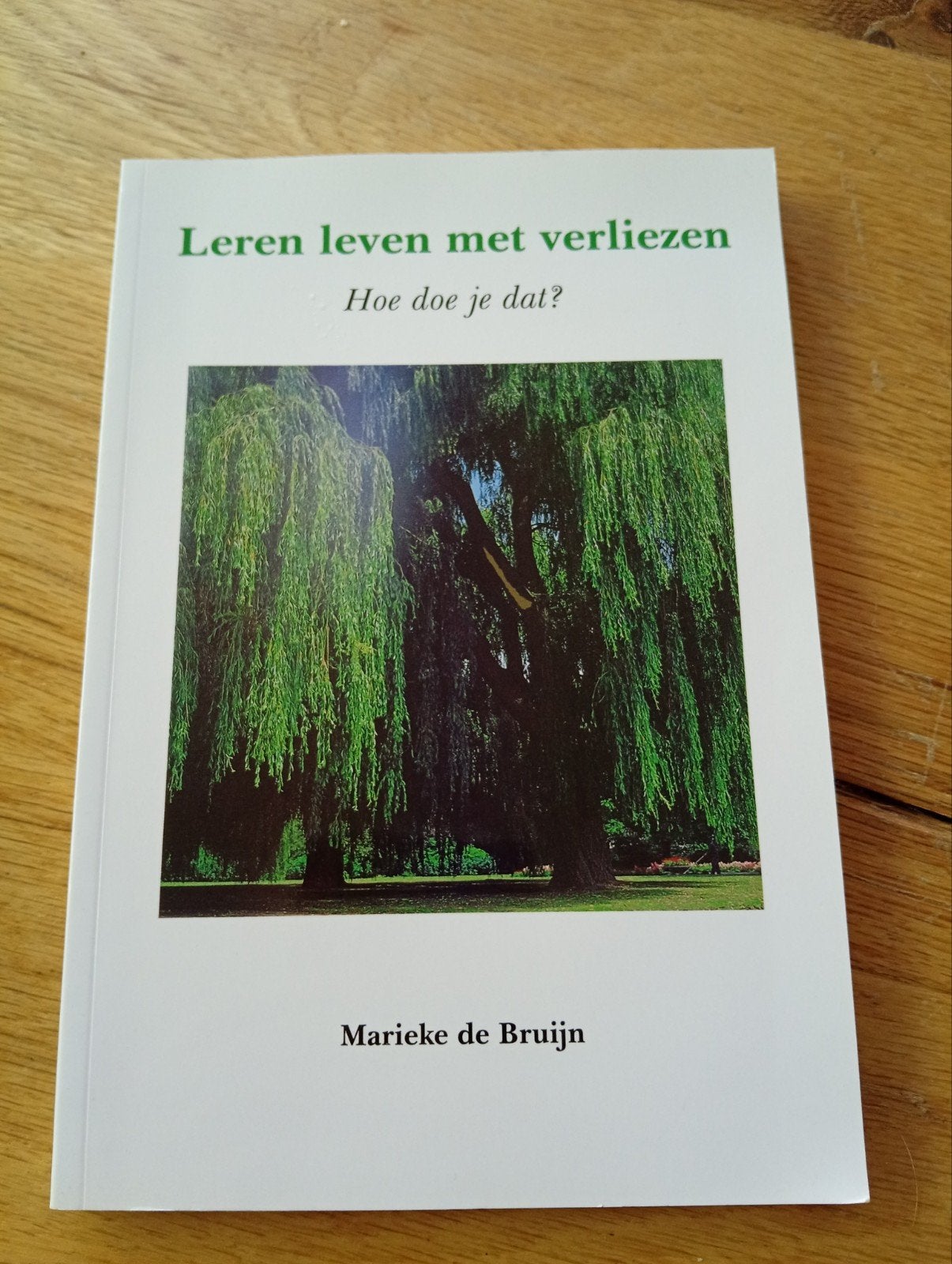 Leren leven met verliezen - Marieke de Bruijn, Marieke de Bruijn, Ophalen of Verzenden, Zo goed als nieuw, Overige onderwerpen
