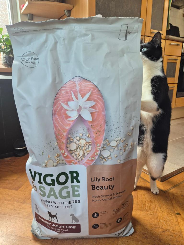 Hondenvoer Vigor & Sage lily root beauty (met zalm), Ophalen of Verzenden, Hond