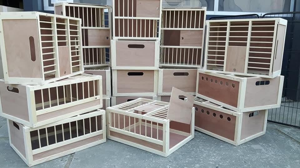 Nieuwe Duivenmanden, Dieren en Toebehoren, Ophalen of Verzenden, Info@duivenbakken.nl, Vogelkooi, Van der Linde Duivenbakken
