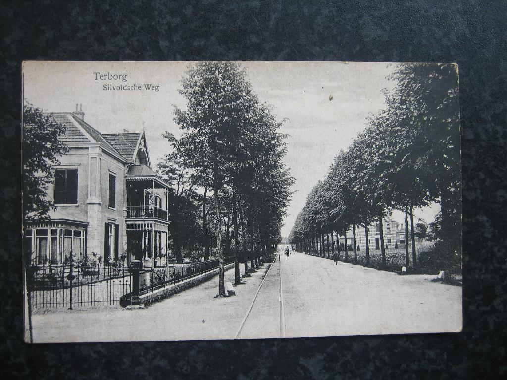 TERBORG Silvoldscheweg A  1919 met tramrails, Ophalen of Verzenden, Voor 1920, Gelderland