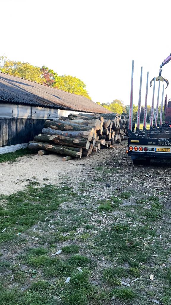 Haardhout. Essen. Let op per gestapelde kuub, 6 m³ of meer, Ophalen, Essenhout