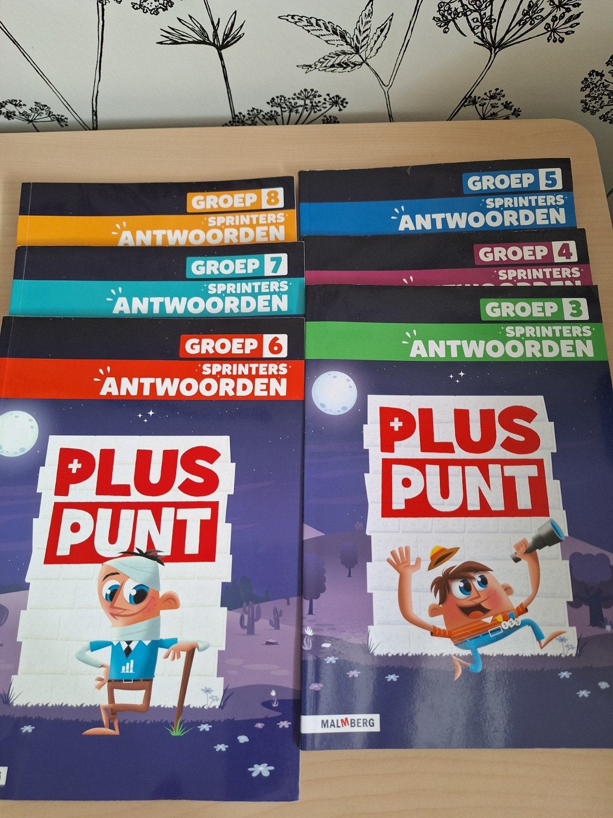 antwoordenboeken Sprinters pluspunt rekenen, Ophalen of Verzenden, Overige niveaus