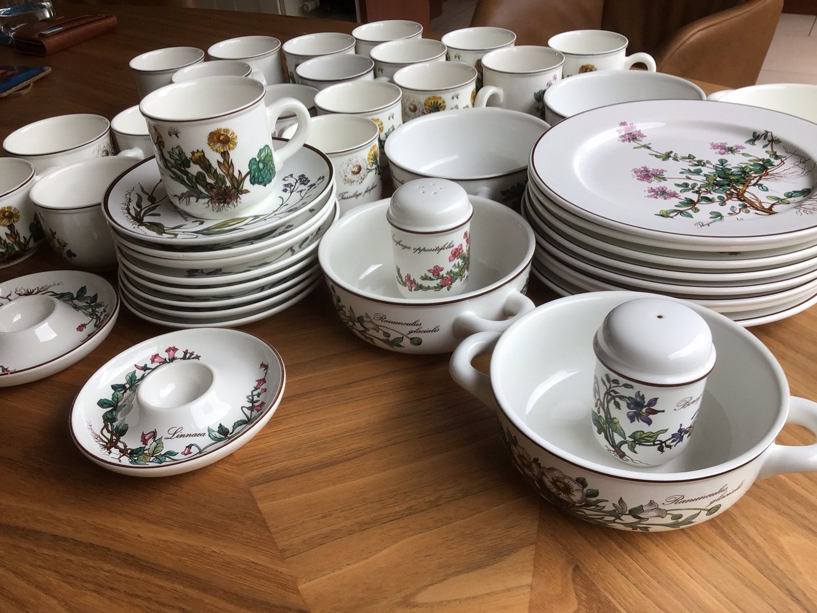 Botanica van Villeroy en Boch, Ophalen