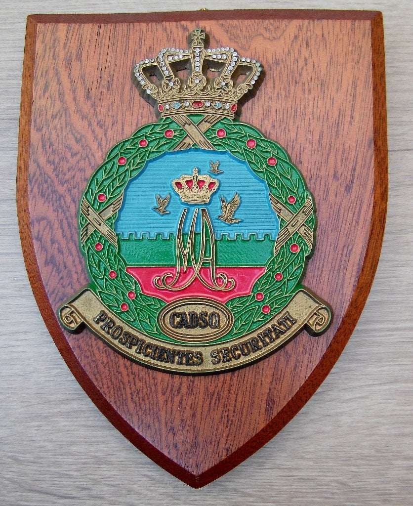 Hooymayers wapenschild Cadettensquadron KMA Breda, Verzenden, Luchtmacht, Nederland, Overige typen