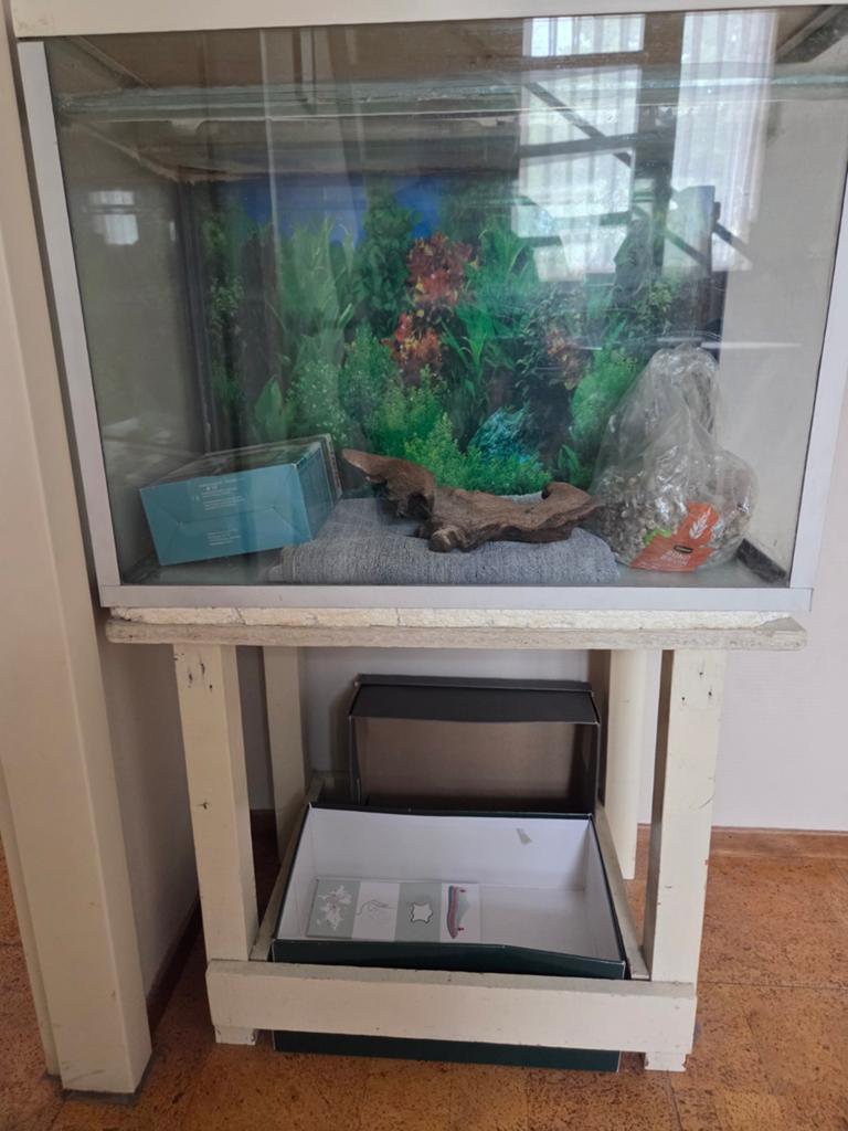 Aquarium gratis af te halen met toebehoren., Ophalen, Gebruikt, Leeg aquarium