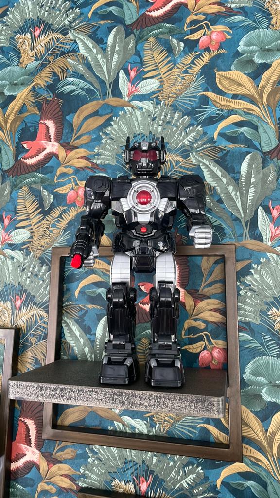 Vintage robot, Ophalen