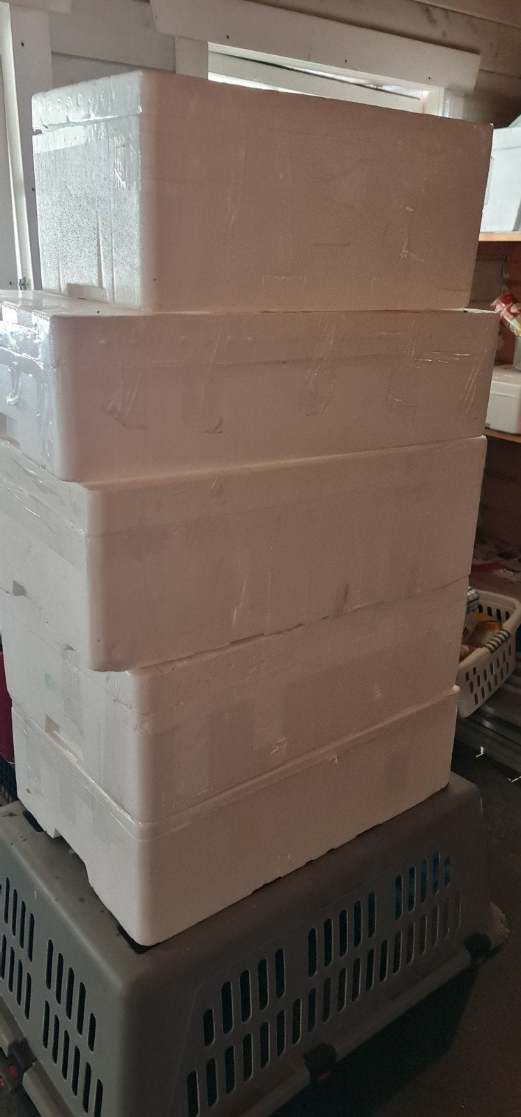 Gratis afhalen koelboxen incl vries elementen., Ophalen of Verzenden, Koelelement