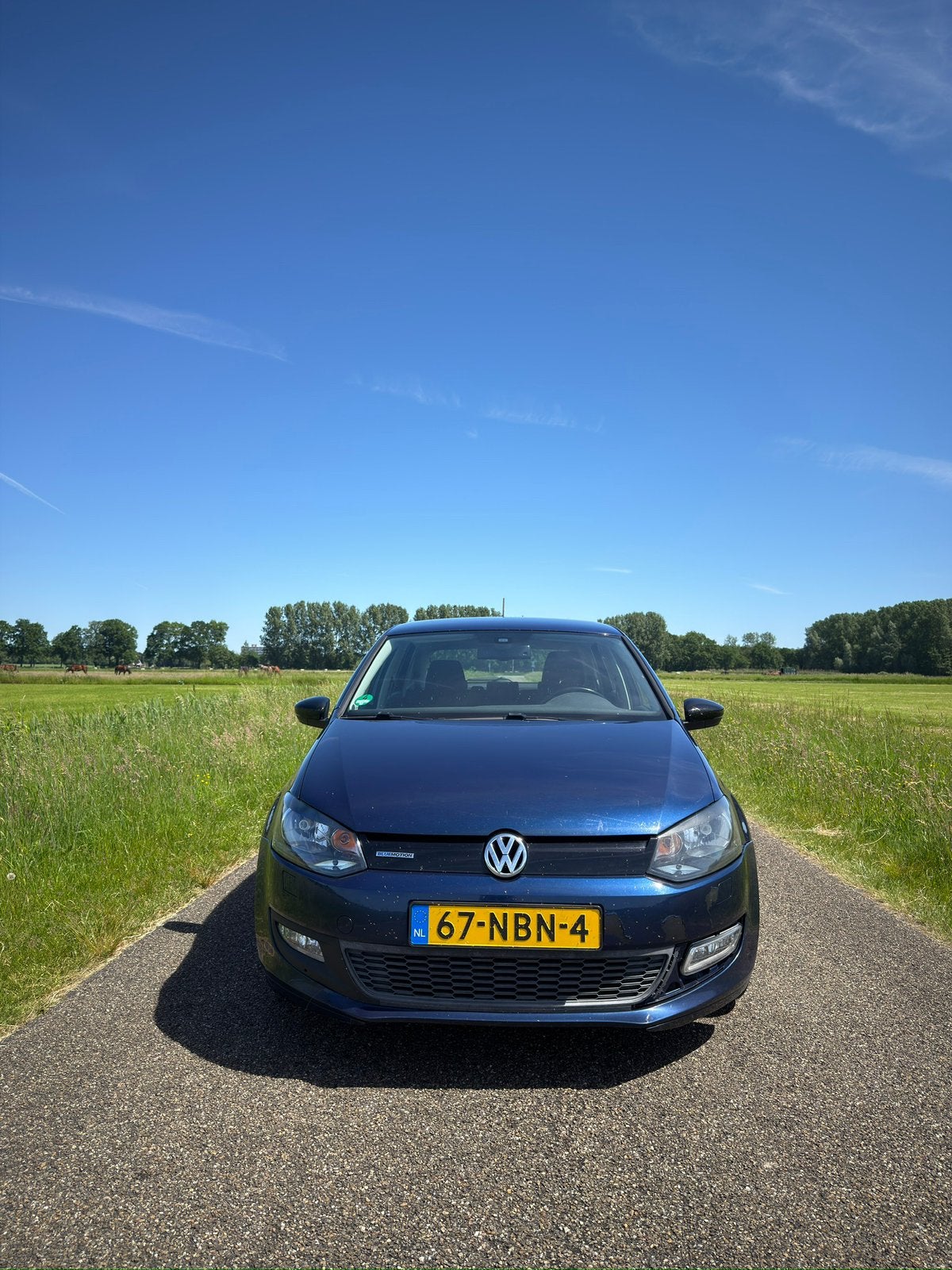 Volkswagen Polo 1.2 TDI 75PK 5D Bluemotion 2010 Blauw, Voorwielaandrijving, 74 pk, 1199 cc, Origineel Nederlands