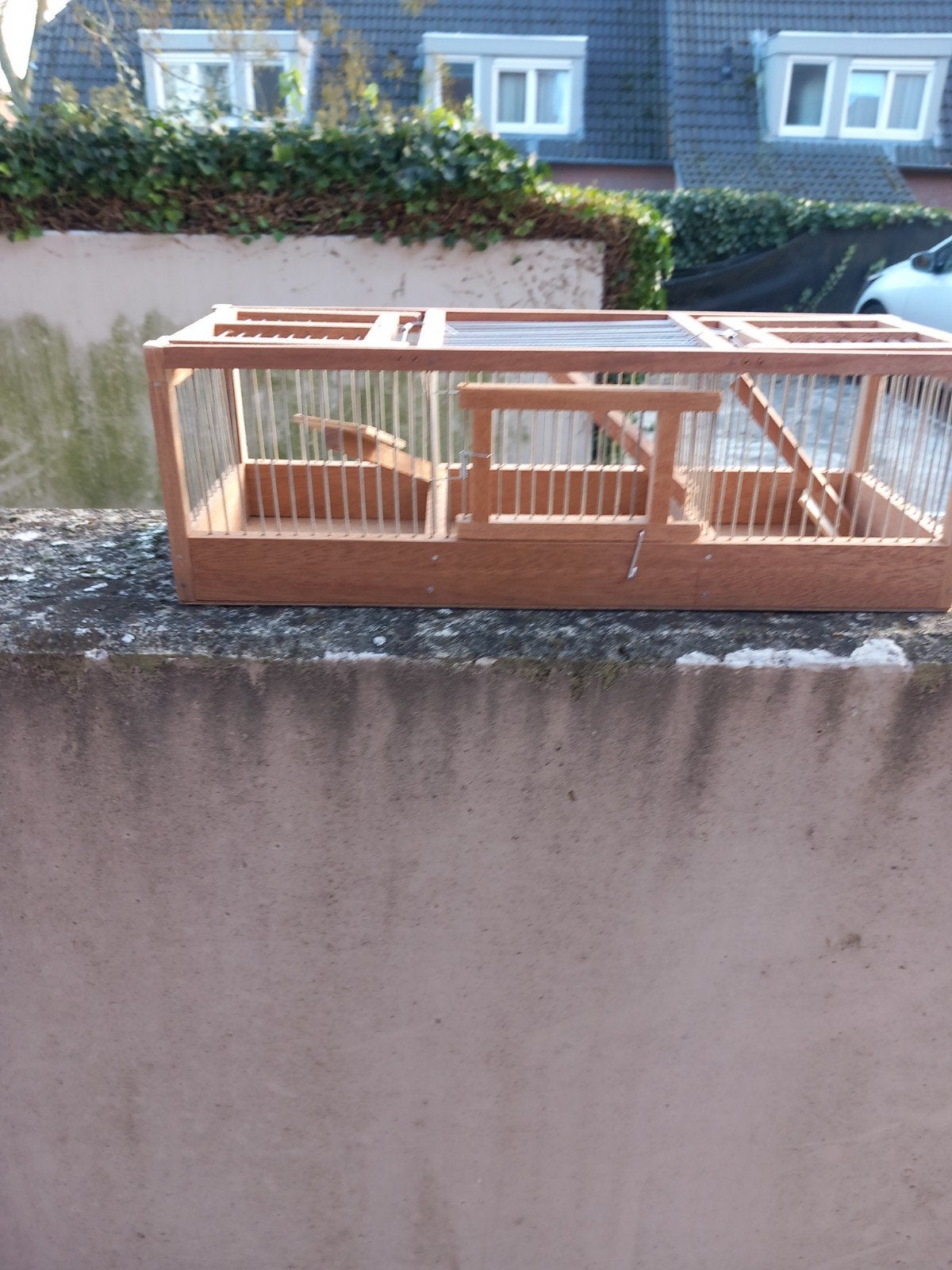 vangkooien in 4 modellen, Ophalen of Verzenden, Nieuw, Hout, Vogelkooi