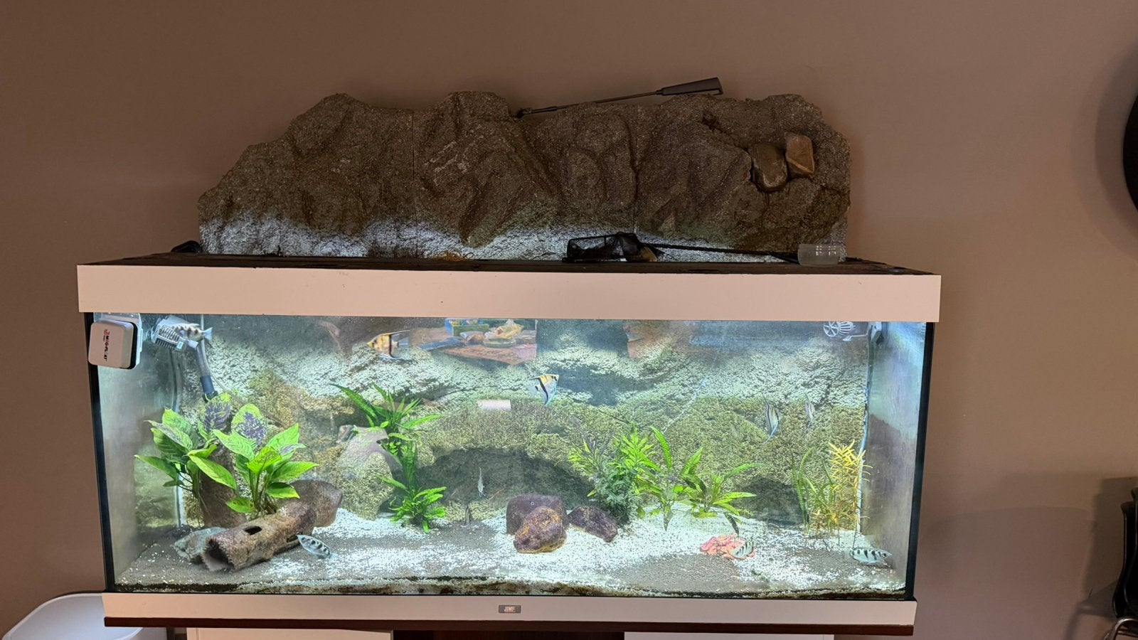Juwel rio 450L aquarium 151 x 51 x 66 cm incl. kast, Ophalen, Zo goed als nieuw