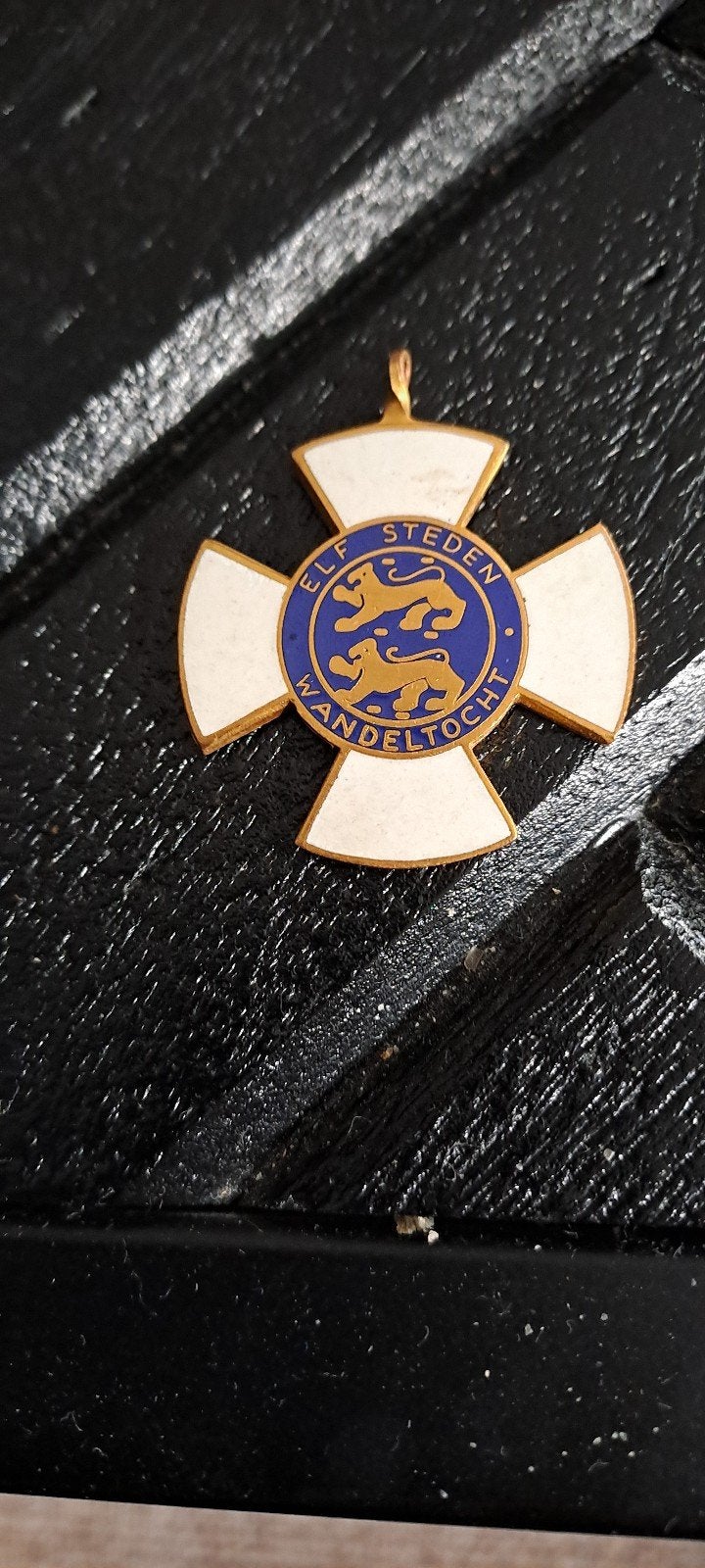 Elfstedentocht Wandeltocht Medaille, Postzegels en Munten, Ophalen of Verzenden, Overige materialen, Nederland