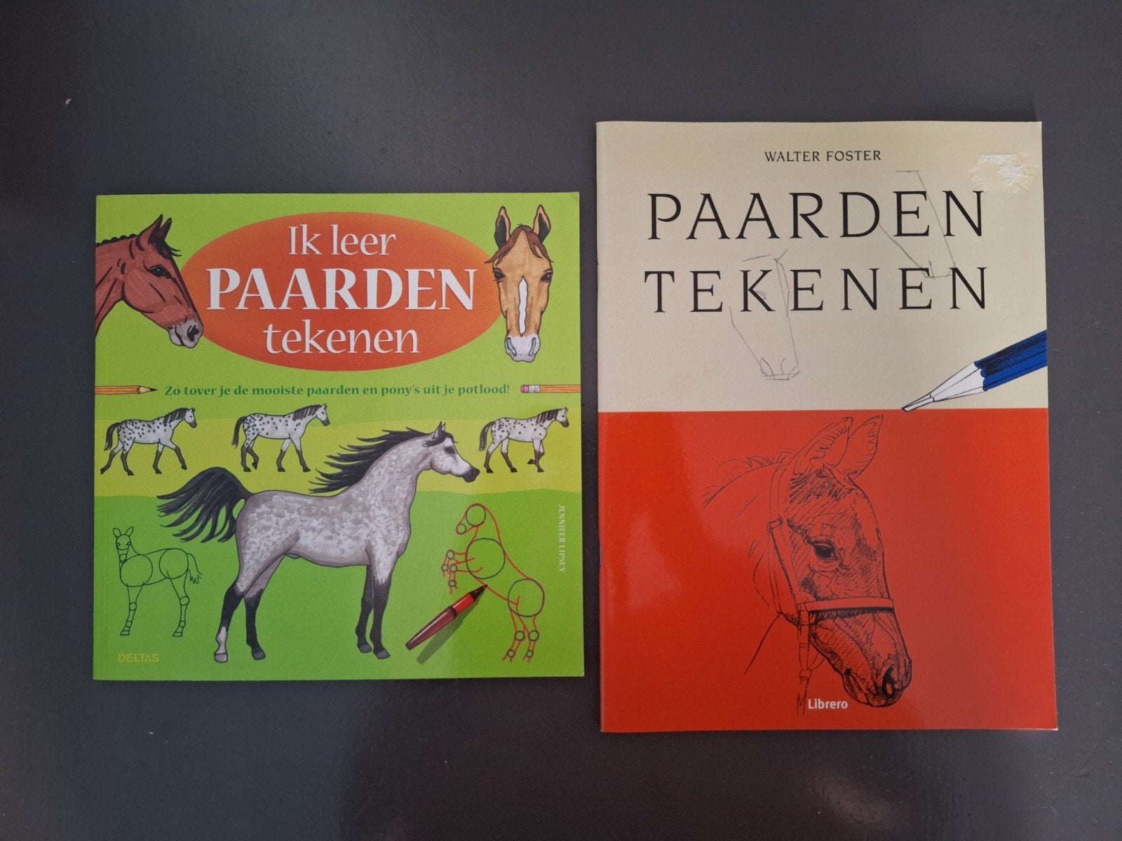 2 boeken paarden tekenen, Ophalen of Verzenden, Zo goed als nieuw, Boek of Gids