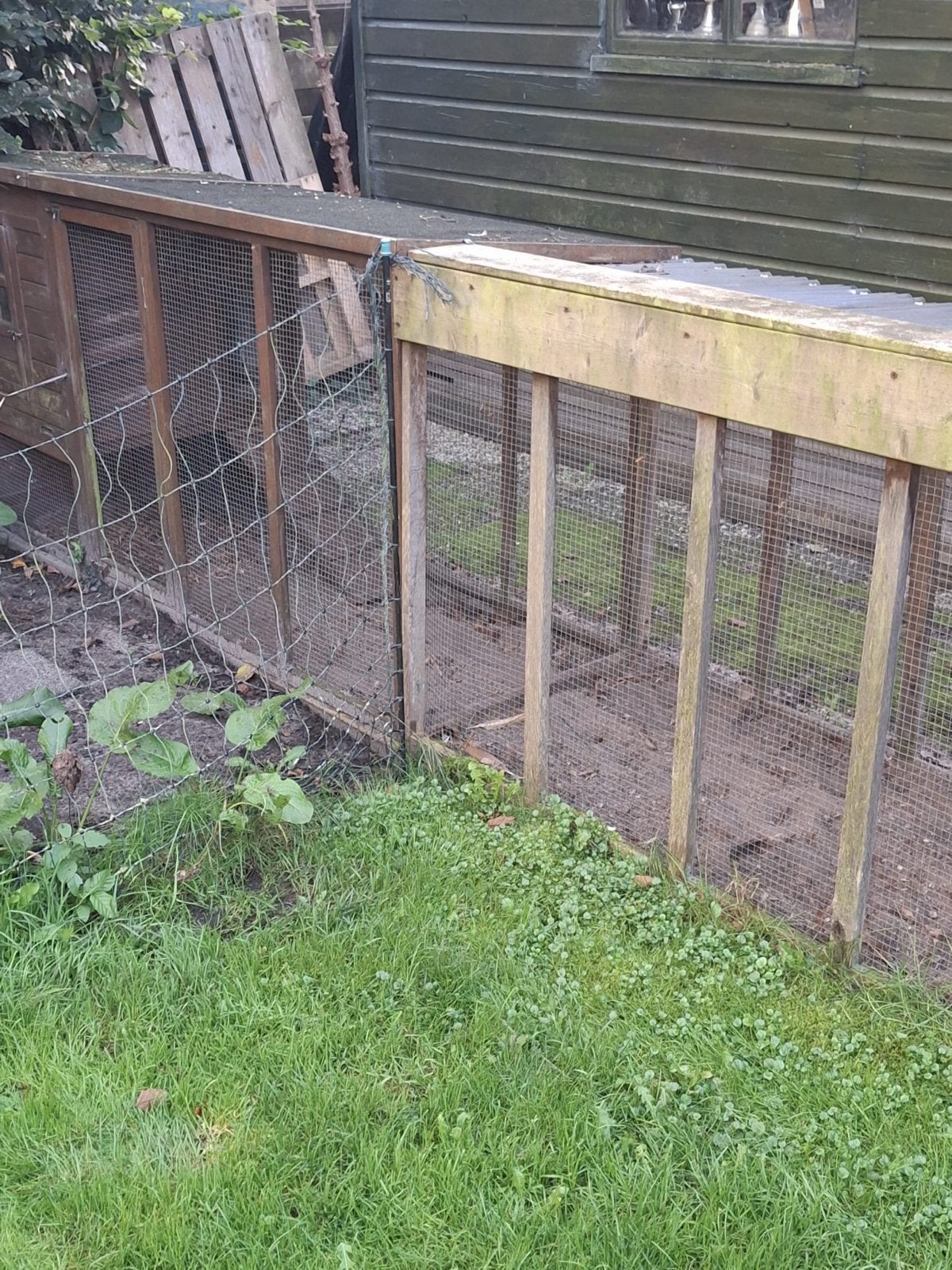 Kippenren, Dieren en Toebehoren, Ophalen, Gebruikt, Kippenhok of Kippenren