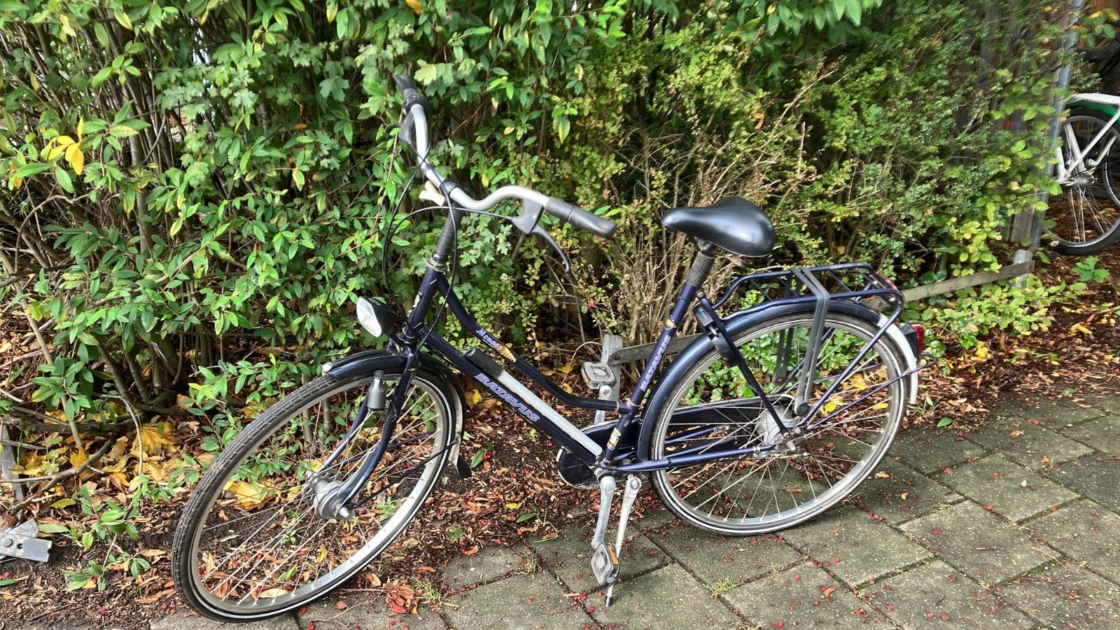 Damesfiets Batavus Monaco 54 cm, 53 tot 56 cm, Ophalen, Gebruikt