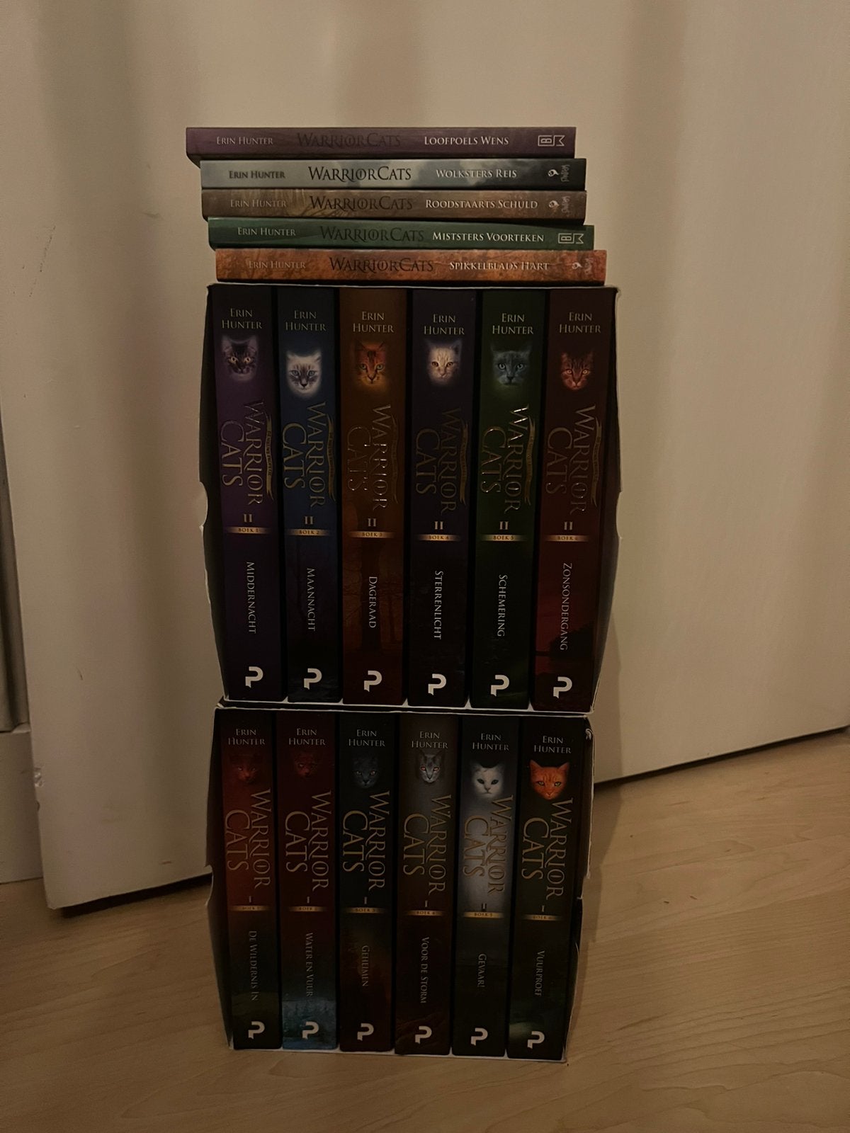 Warrior cats boeken, Boeken, Ophalen of Verzenden, Zo goed als nieuw