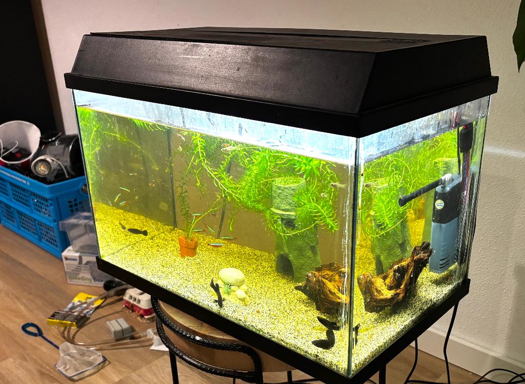 Aquarium inclusief vissen en alle toebehoren, Dieren en Toebehoren, Vissen | Aquaria en Toebehoren, Ophalen, Zo goed als nieuw