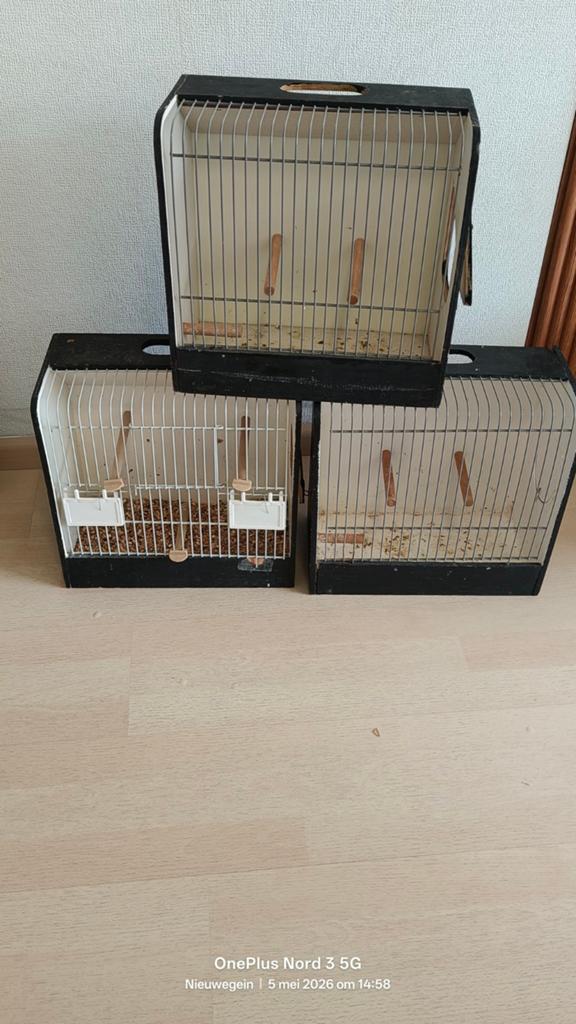 3X vervoer kooi, €5, voor alle 3., Ophalen, Hout, Broedkooi of Kweekkooi