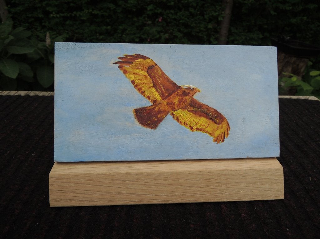 Schilderijtje Buizerd, Paneel, Dieren, Ophalen of Verzenden, Handgeschilderd