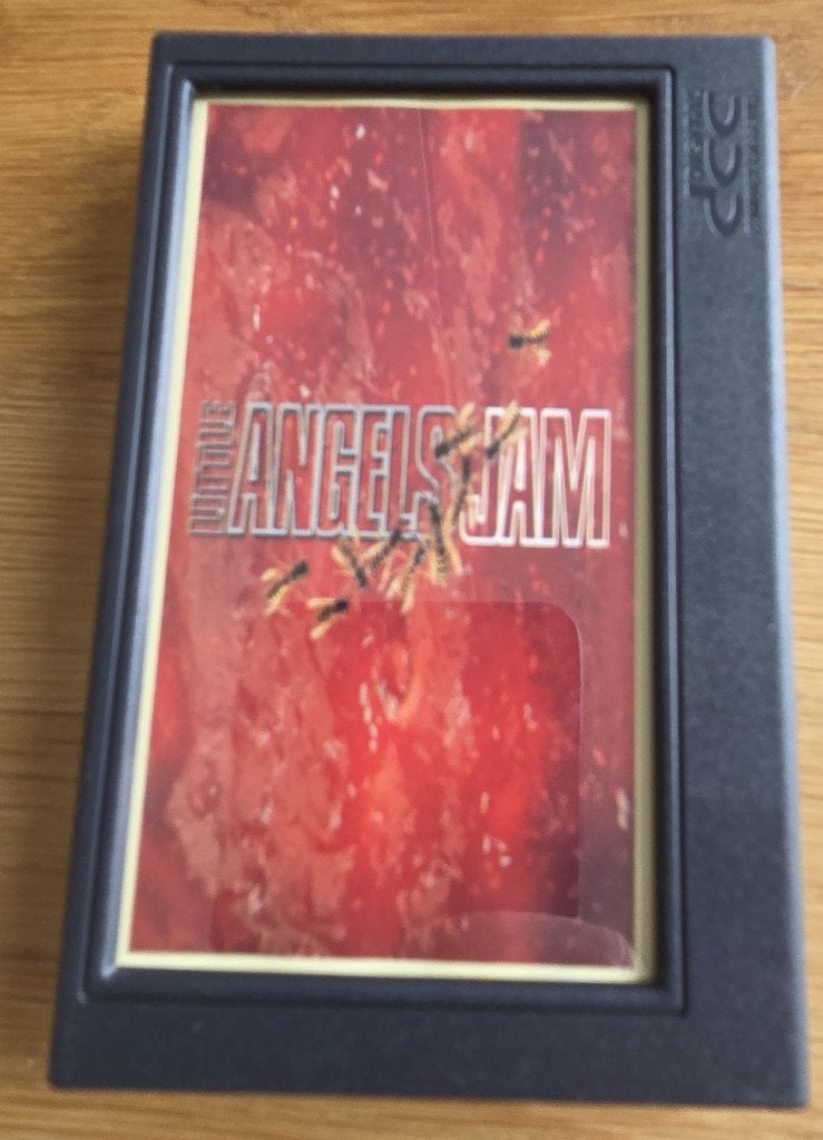 DCC van Little Angels - Jam, Cd's en Dvd's, Cassettebandjes, Verzenden, 1 bandje, Zo goed als nieuw, Voorbespeeld
