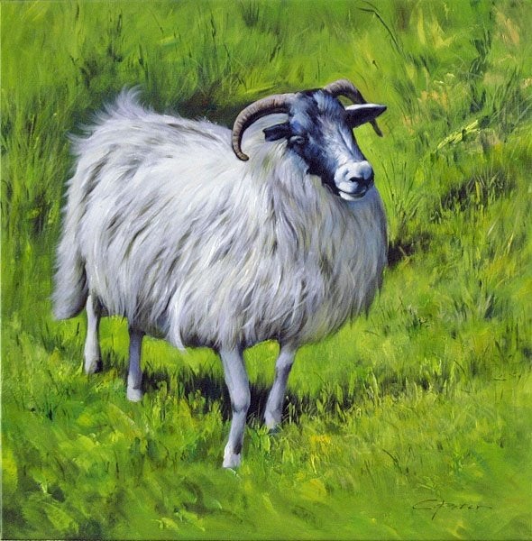 Handgeschilderd schilderij Scotty door C. Peter – 80 x 80 cm, Ophalen, Acrylverf, Doek, Expressionistisch