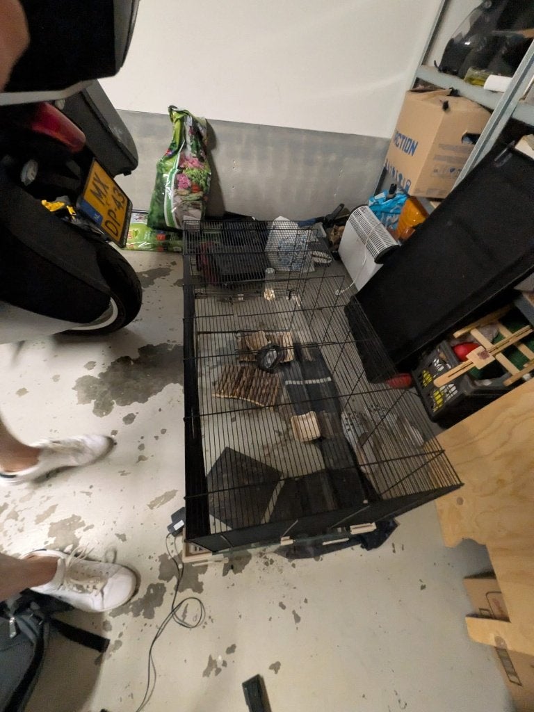 Hamster hok, Muis, Zo goed als nieuw, Hok, 75 tot 110 cm