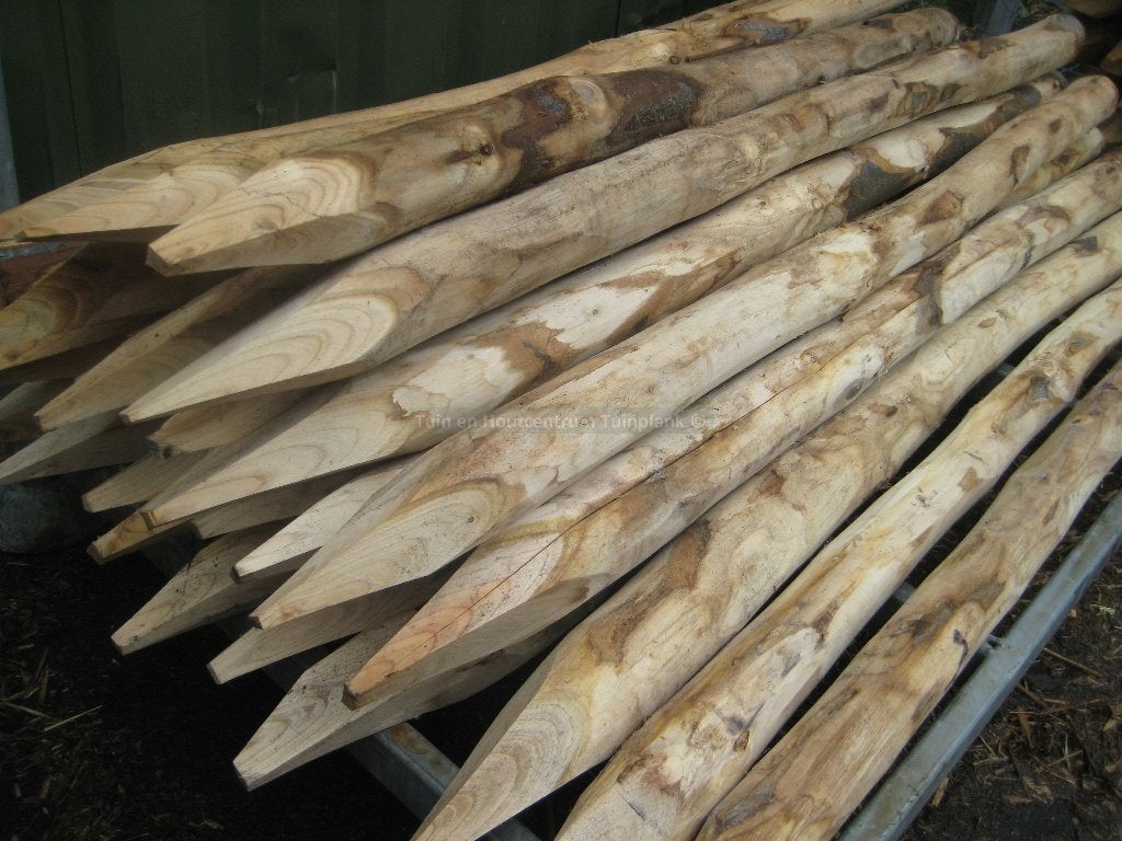 Kastanjepaal 150 - 160 cm, Tuin en Terras, Palen, Balken en Planken, Ophalen, Nieuw, Minder dan 180 cm, Palen