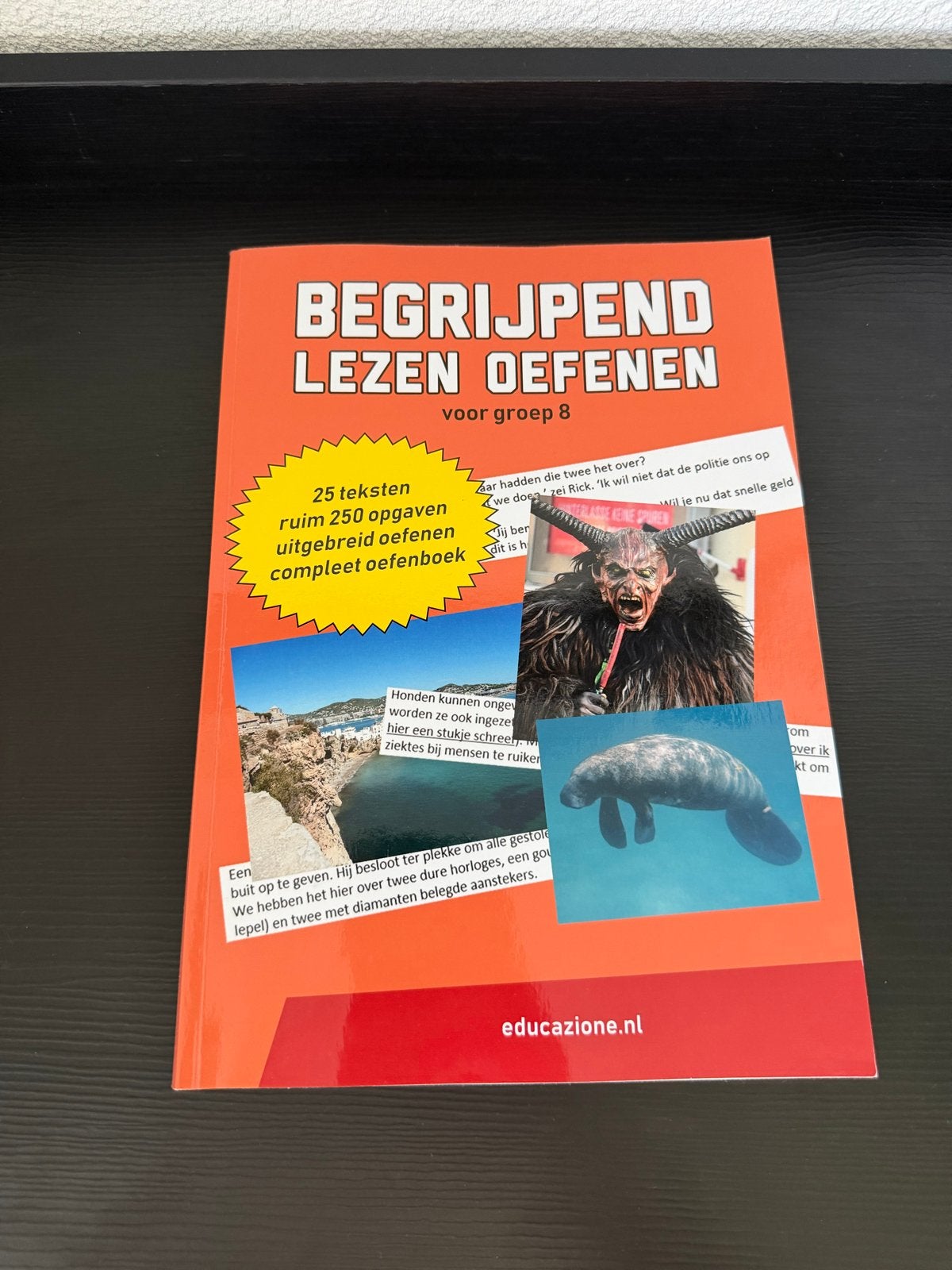 Begrijpend Lezen Oefenen voor groep 8, Boeken, Ophalen of Verzenden, Zo goed als nieuw, Overige niveaus, Nederlands