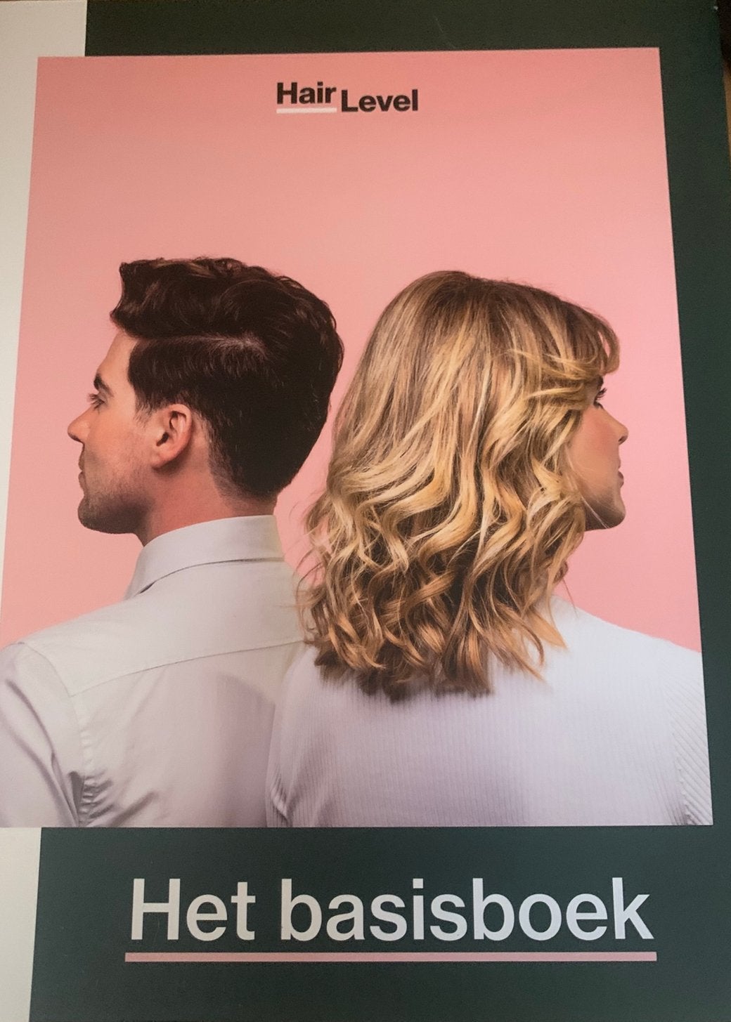 Hair Level Het basisboek, Boeken, Overige vakken, Nieuw, Ophalen of Verzenden, Bespeak B.V.