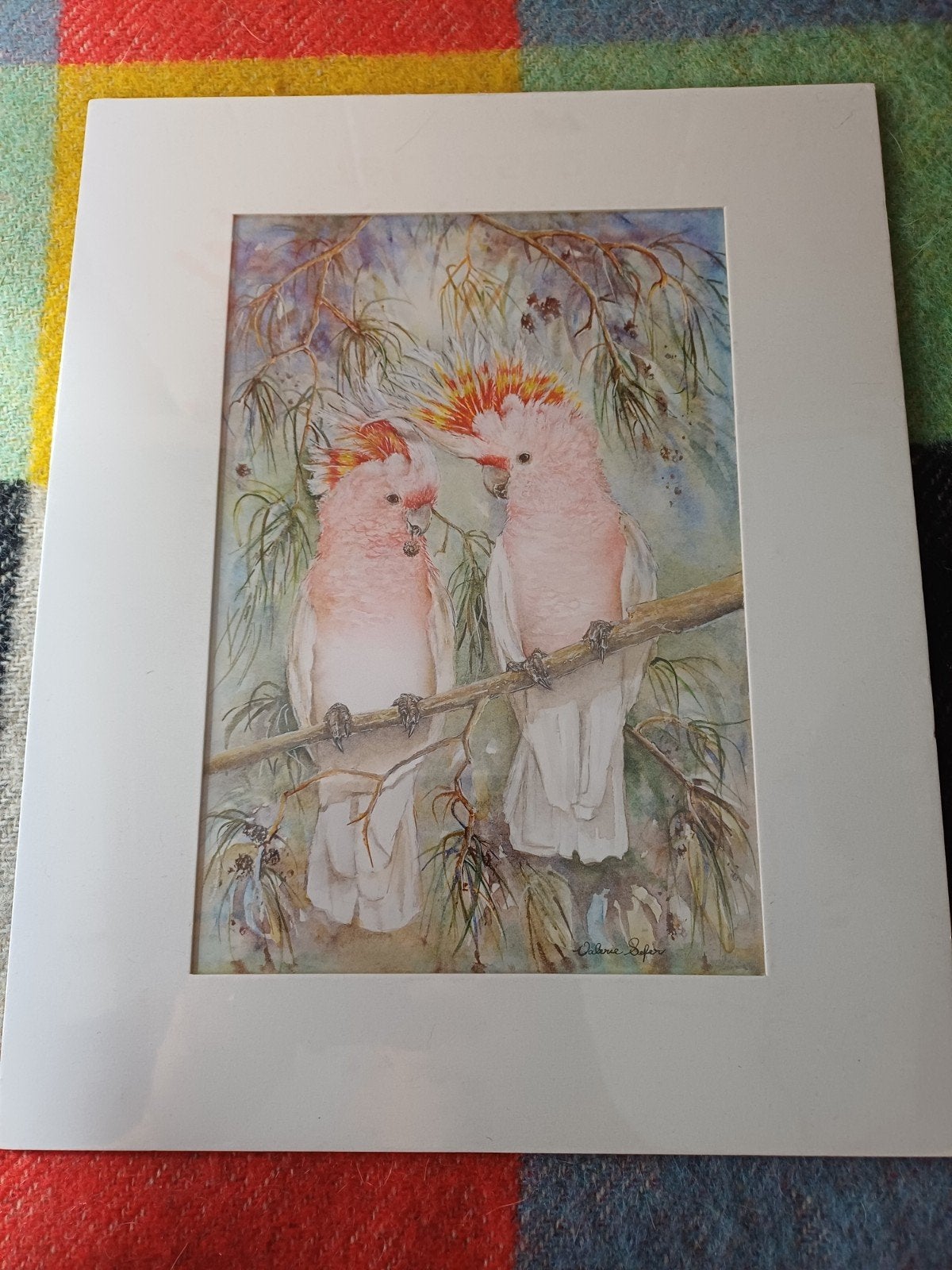 Aquarel van twee Major Mitchell Kaketoes door Valerie Sefer, Ophalen of Verzenden, Aquarel, Met passe-partout