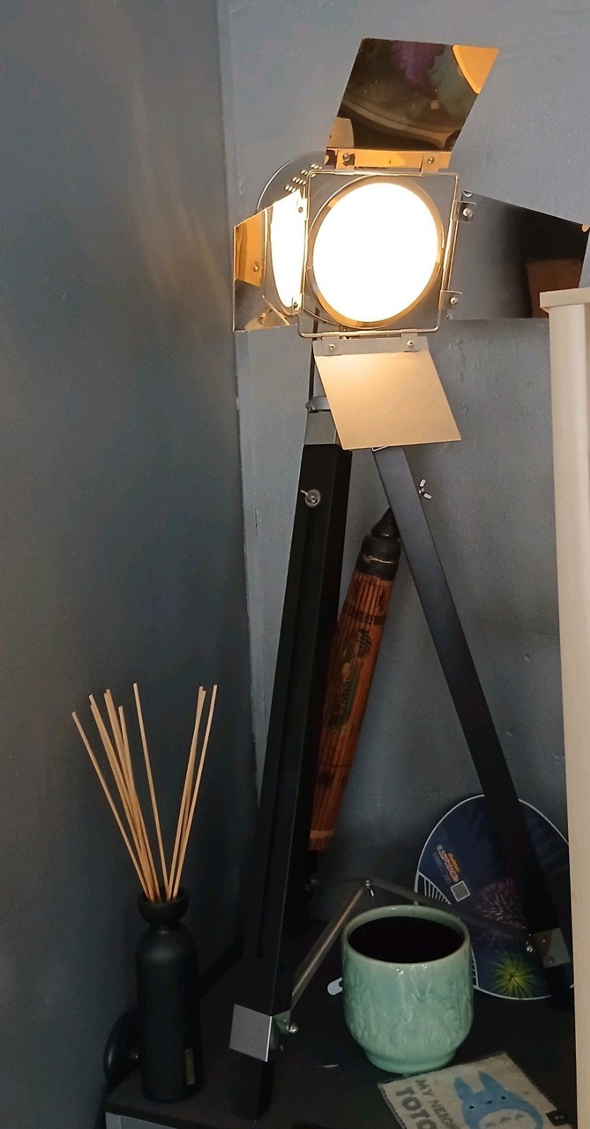 Industriële Spotlight Vloerlamp op Statief - Zwart/Chroom, Ophalen, Industrieel, Modern, Vintage, E27 (groot), Zo goed als nieuw