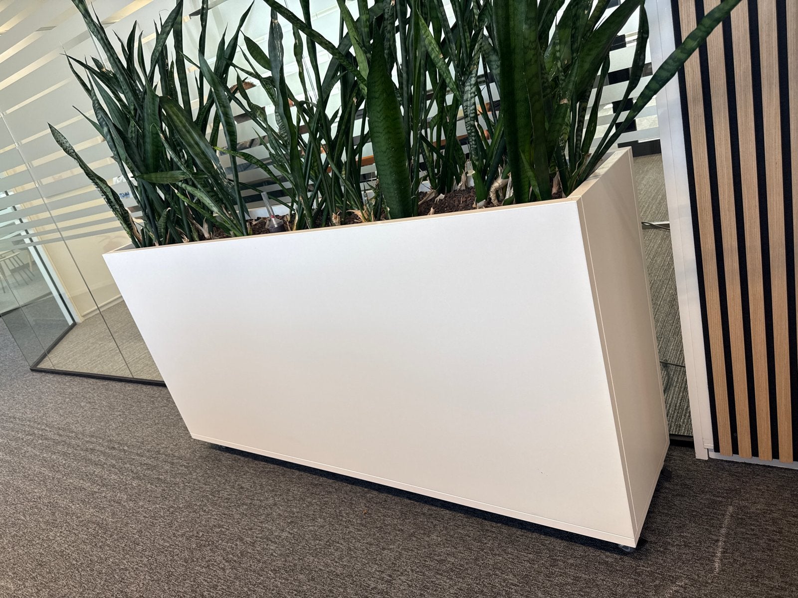 Grote witte plantenbak 5 stuks, Ophalen, Hout, Gebruikt, Modern