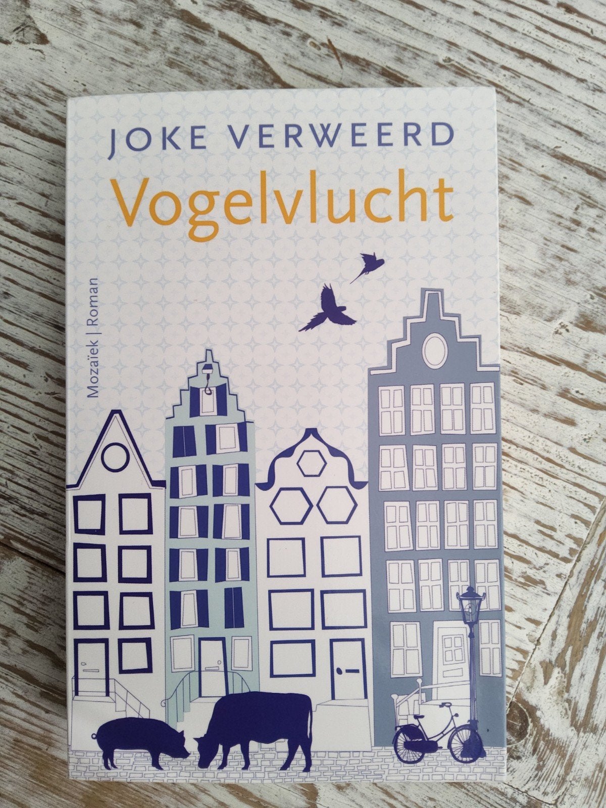 Joke Verweerd - Vogelvlucht, Ophalen of Verzenden, Zo goed als nieuw, Joke Verweerd