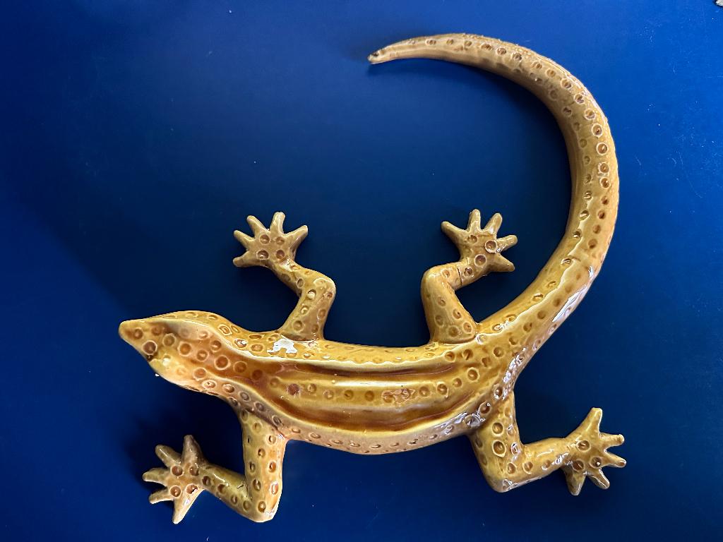 Aardewerk Salamander, Ophalen of Verzenden, Nieuw